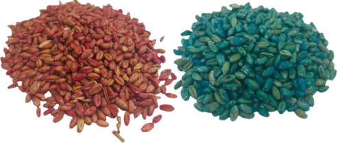 Granos de rodenticida para el control de plagas